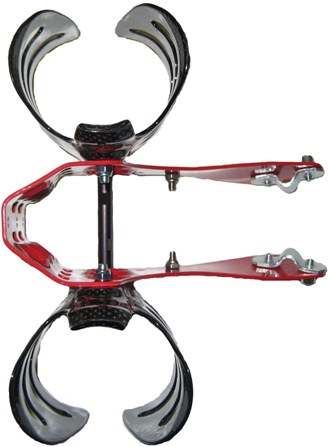 Mini Wing Back View